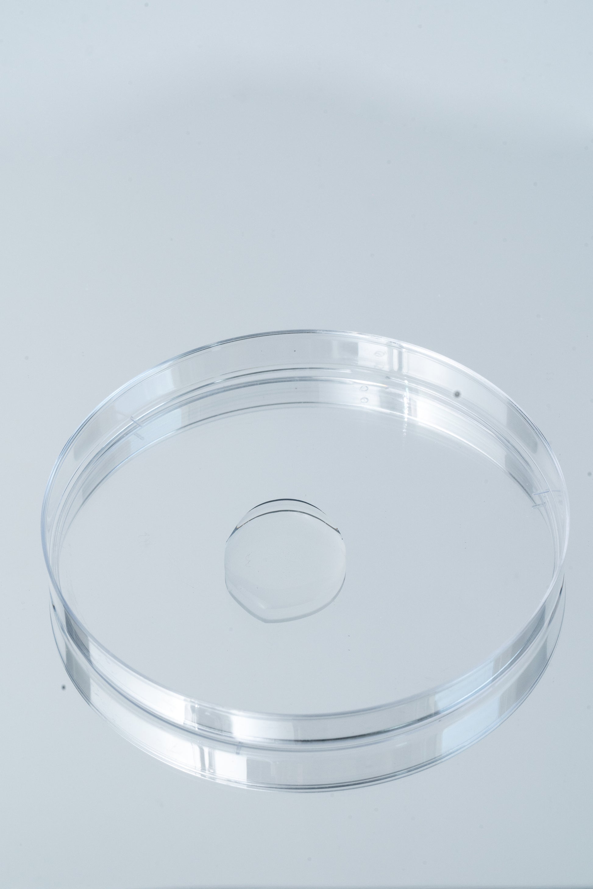 A clear plastic plate featuring a circular hole in the center, showcasing its transparent design and unique shape.